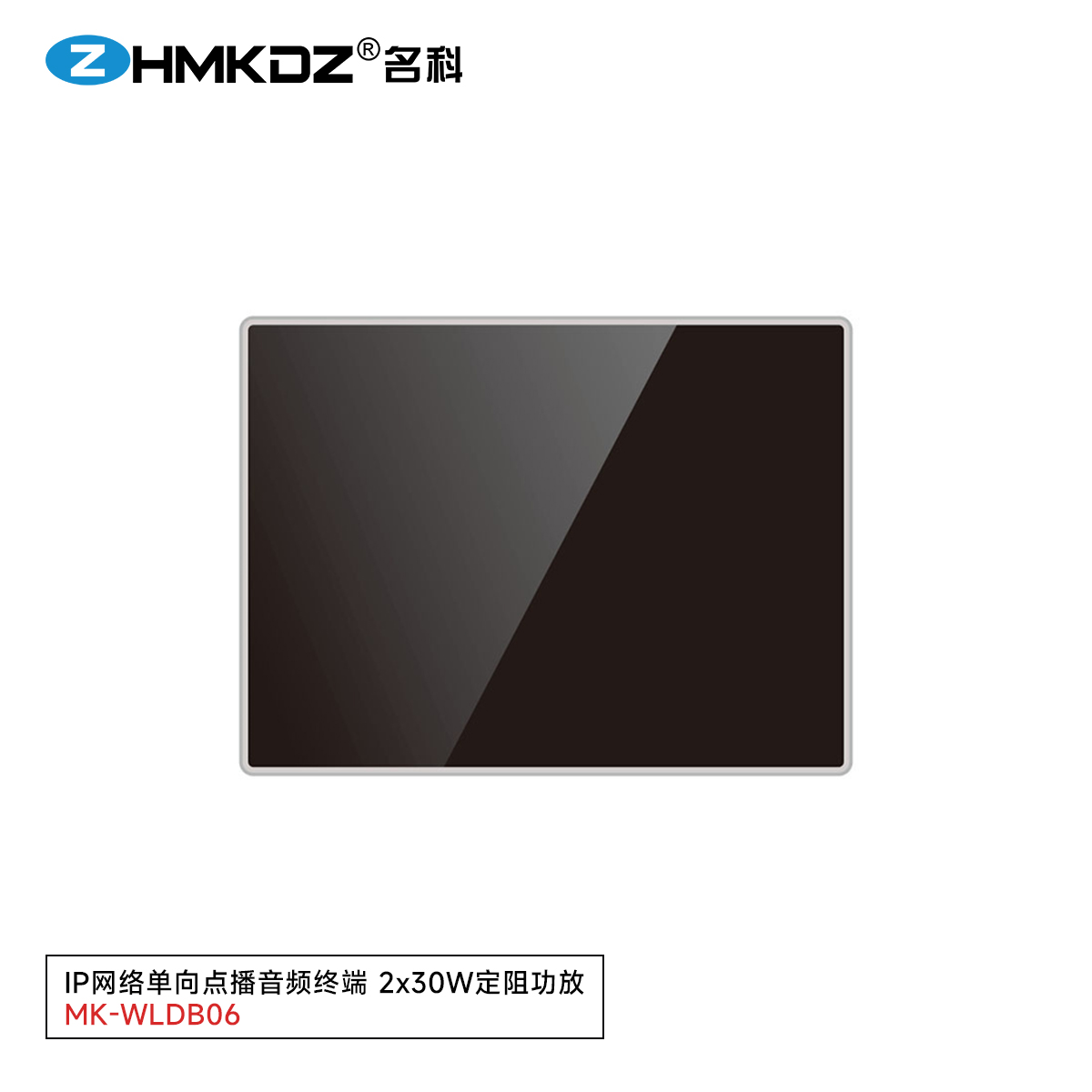IP网络单向点播音频终端 2x30W定阻功放