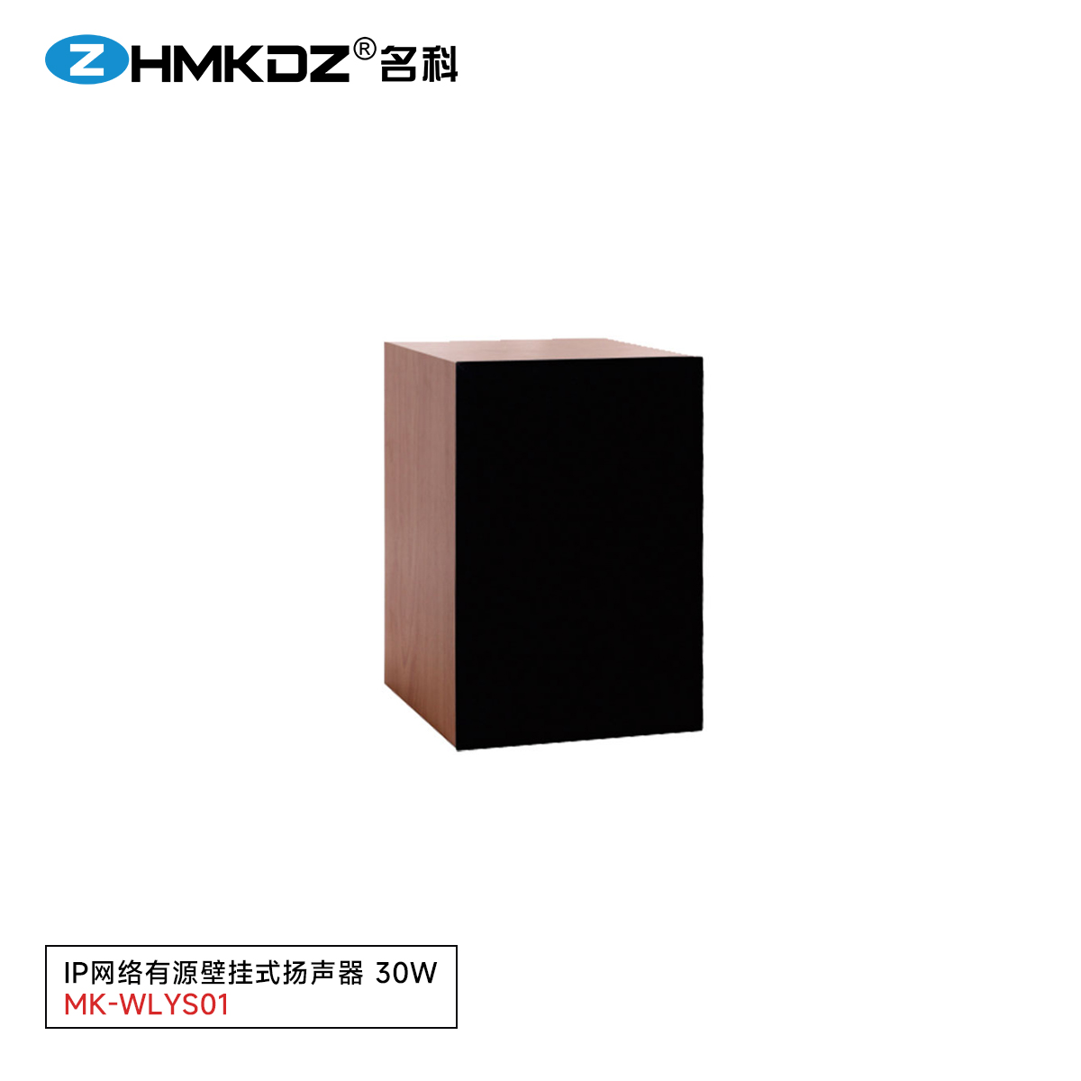 IP网络有源壁挂式扬声器 30W